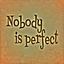 nikdo není dokonalý